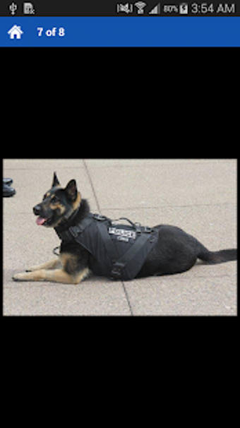 Image 2 for San Leandro PD Mobile