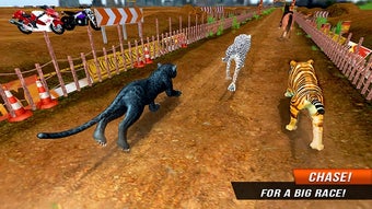 Image 3 for Crazy Wild Black Panther …