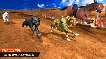 Image 2 for Crazy Wild Black Panther …