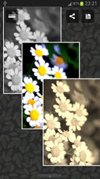 Imagen 2 para Photo Album
