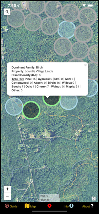 Image 3 for New York Mushroom Forager…