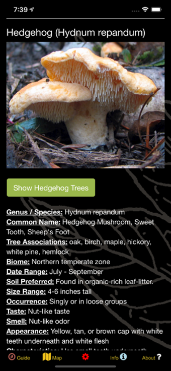 Image 1 for New York Mushroom Forager…