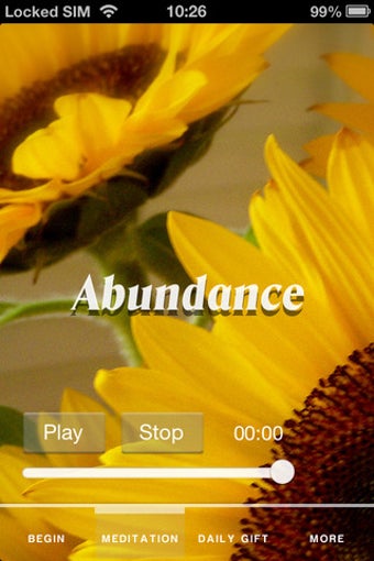 Image 1 for Creating Abundance in 21 …