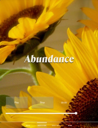 Image 2 for Creating Abundance in 21 …