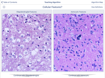Imagen 0 para Johns Hopkins Atlas of Su…