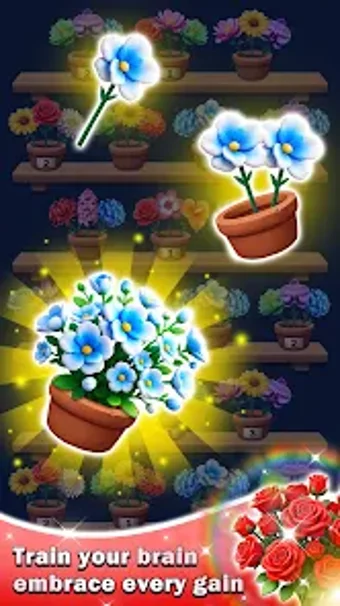Imagen 0 para Garden Bloom Sort