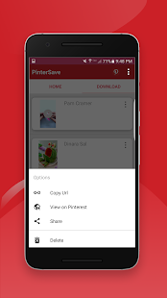 Image 3 for PinSave: Fast Video Downl…