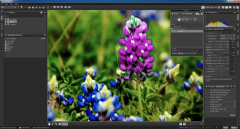 Image 5 for Corel AfterShot Pro (64-b…
