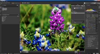 Image 4 for Corel AfterShot Pro (64-b…