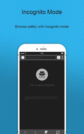 Imagen 2 para Incognito Private Browser…