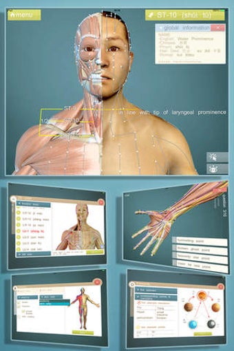 Imagen 0 para Total Acupuncture 3D