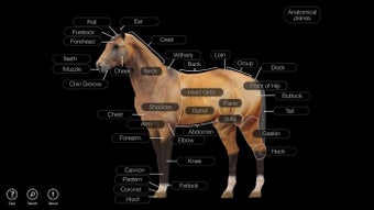 Imagen 2 para Horse Anatomy: Equine 3D …