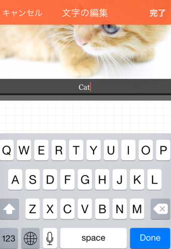 Image 13 for SlideStory - Create a sli…