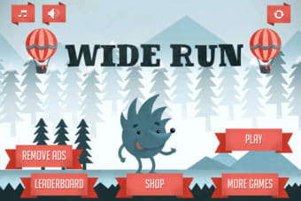 Image 0 for Wide Run : Hedgehog vs. S…