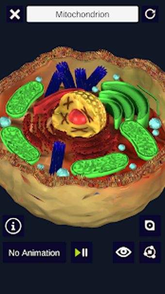 Image 3 for 3D Biology +