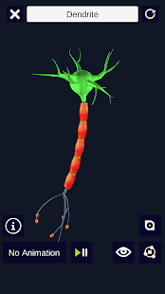 Image 2 for 3D Biology +