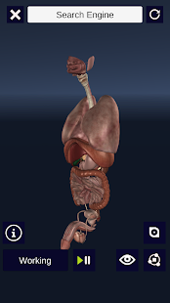 Image 1 for 3D Biology +
