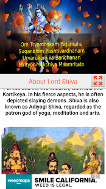 Imagen 1 para Maha Mrityunjay Mantra -L…