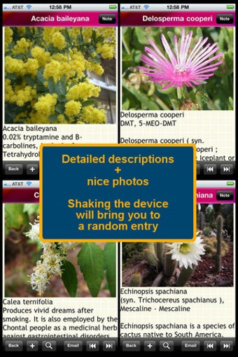 Image 0 for Psychoactive Plants and F…