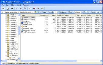 Image 0 for SL Directory Printer