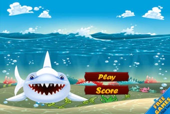 Image 0 for Shark Tank Fish Feeding