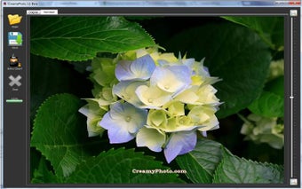 Imagen 1 para CreamyPhoto Lite