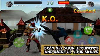 Image 2 for Ninja Revenge: Kung Fu Fi…