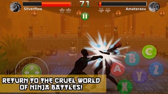 Image 3 for Ninja Revenge: Kung Fu Fi…