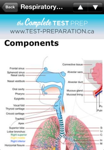 Image 0 for Complete TEAS Study Guide