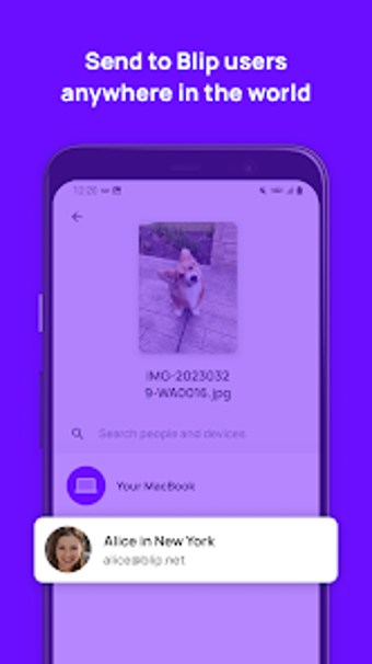 Image 0 for Blip File Transfer