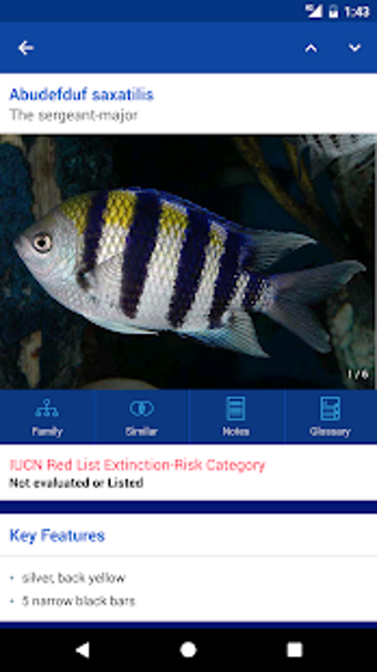 Imagen 3 para Fishes: Greater Caribbean