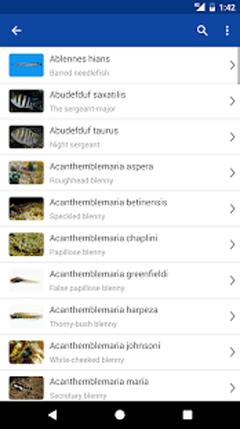 Imagen 0 para Fishes: Greater Caribbean