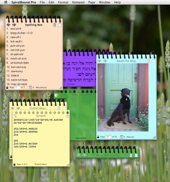 Image 0 for SpiralBound Pro