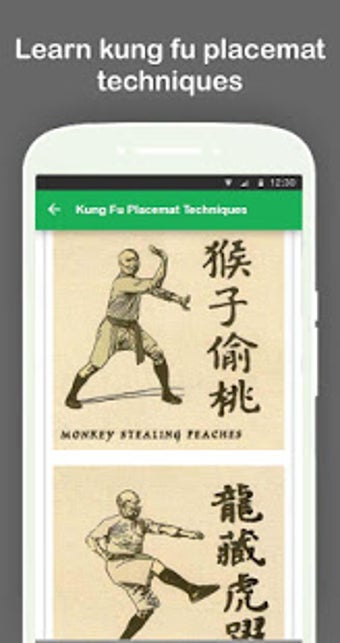Image 0 for Learn Kung Fu Techniques