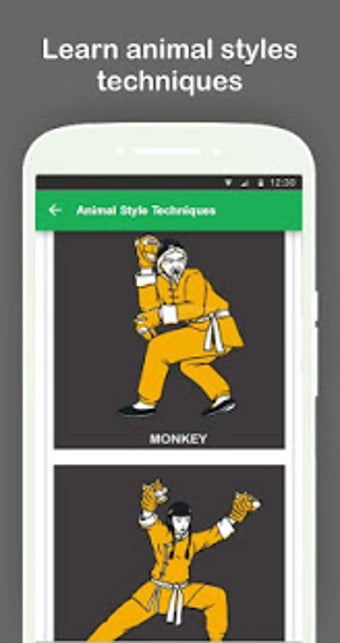 Image 1 for Learn Kung Fu Techniques