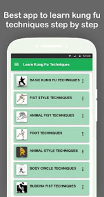 Imagen 0 para Learn Kung Fu Techniques