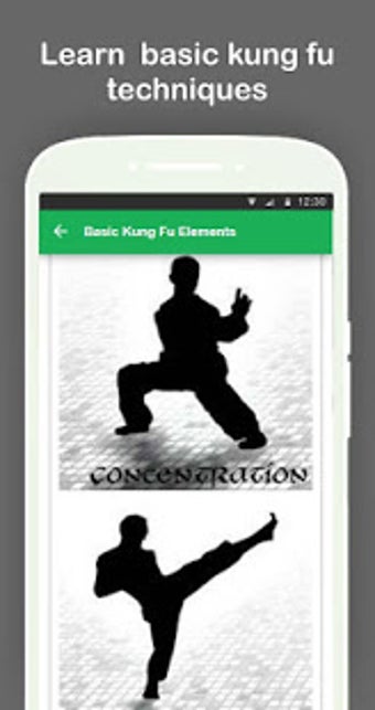 Image 2 for Learn Kung Fu Techniques