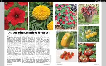 Image 3 for Manitoba Gardener Magazin…