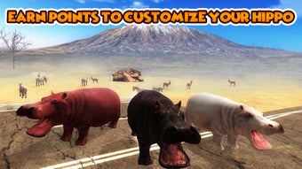 Image 1 for Hippo Wild Life Survival …