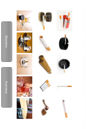 Image 2 for SensoSmoke Lite