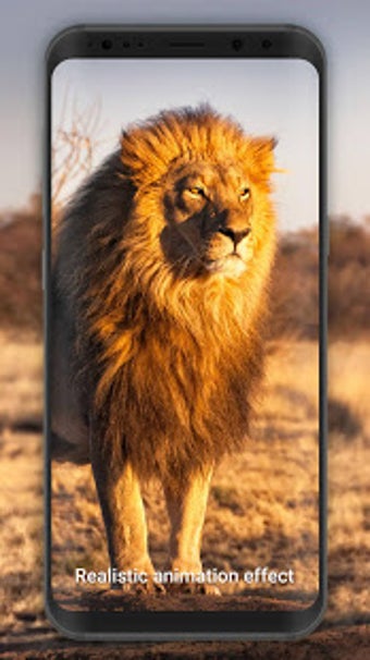 Imagen 2 para 3D Lion live wallpaper