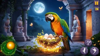 Image 0 for Wild Parrot Care: Bird Li…