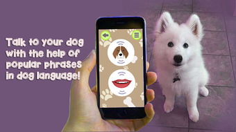 Imagen 1 para Dog Language Translator S…