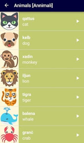 Image 1 for Maltese Basics (No Ads)