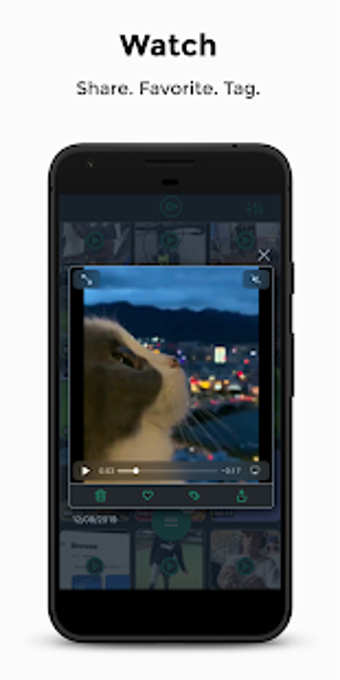 Image 1 for VVIO - Download Twitter V…
