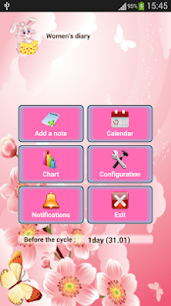 Image 0 for Woman diary (calendar)