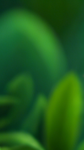 Image 0 for Shape Memory Flip