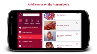 Imagen 1 para Anatomy & Physiology