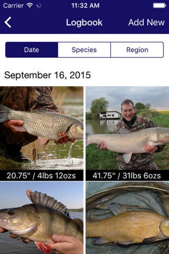 Image 0 for FishFigure - A social fis…