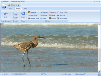 Imagen 1 para Ultimate File Viewer